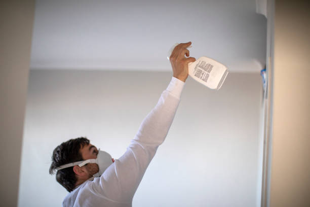 Best Residential Mold Remediation in La Verne, CA