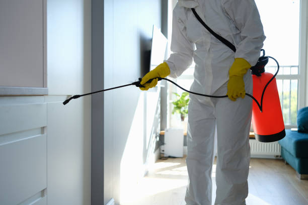 Best Crawl Space Mold Remediation in La Verne, CA
