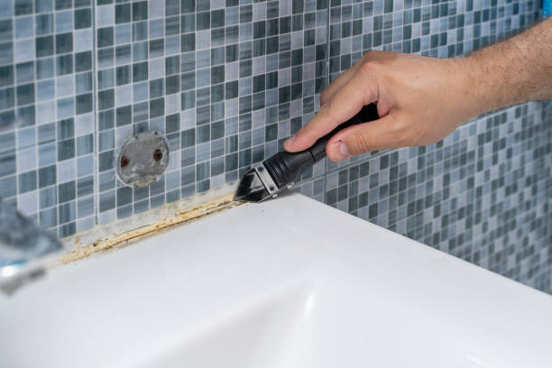 Best Kitchen Mold Remediation in La Verne, CA